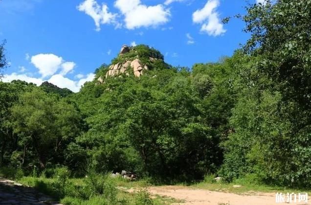 塞罕坝御道口自驾游旅游攻略