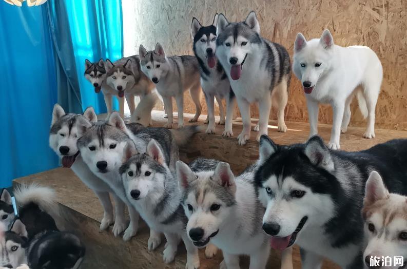 中央美术学院美术馆太虚之境怎么样 好玩吗 中央美术学院美术馆太虚之境怎么样 好玩吗