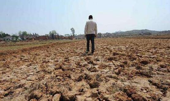 云南农作物干旱受灾618.67万亩 未来发生重大干旱风险很高