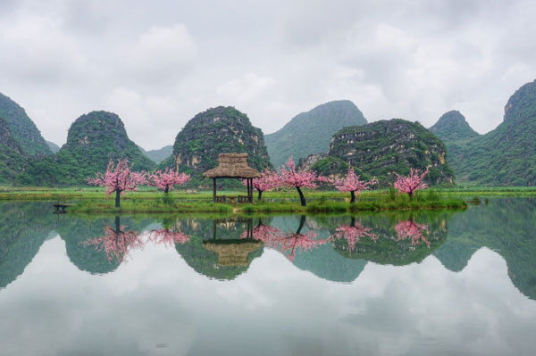 3月初去什么地方看花 春天去哪里看花