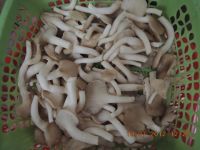 平菇炒肉的做法步骤1