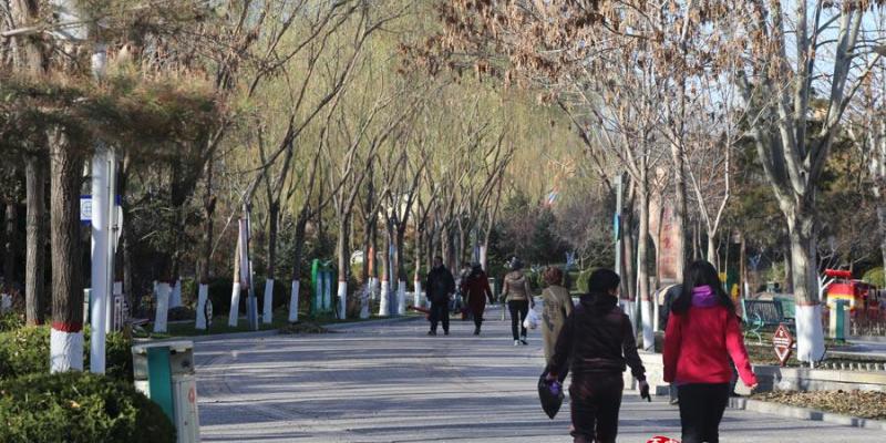 别再贪睡啦！银川空气质量好 市民晨起锻炼忙