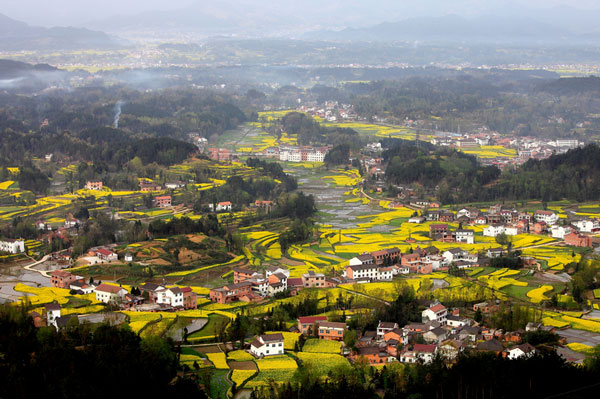 汉中油菜花海在哪里 2019汉中看油菜花最佳时间