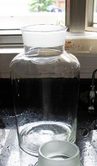 自制青梅酒的做法步骤5
