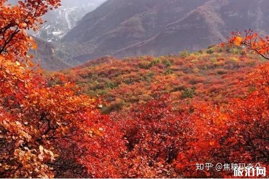 11月份适合去哪里旅游国内