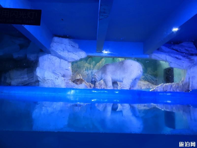 蓬莱三日游旅游攻略 蓬莱三日游景点推荐