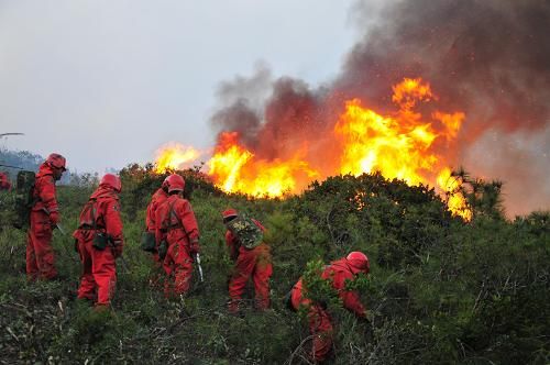昆明再发森林火灾