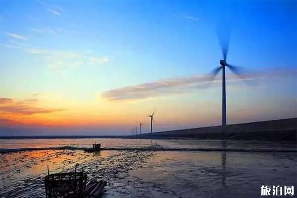 宁波8条最美风车公路怎么去