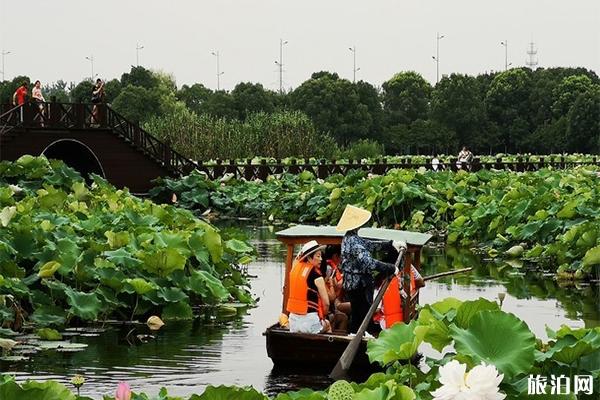 苏州荷塘月色湿地公园好玩吗 门票多少钱 苏州荷塘月色湿地公园好玩吗 门票多少钱