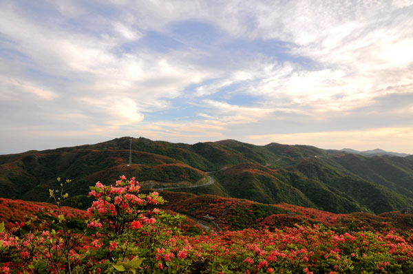 大围山什么时候去最好 大围山杜鹃花什么时候开