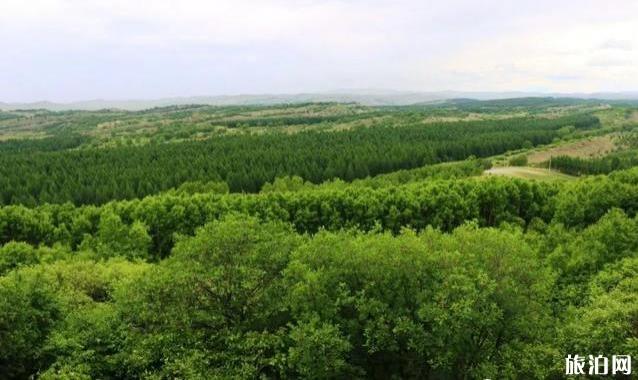 塞罕坝御道口自驾游旅游攻略