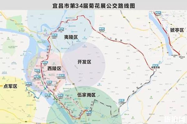 2019宜昌菊花展夷陵区龙泉古镇10月24日开启 附菊花展信息