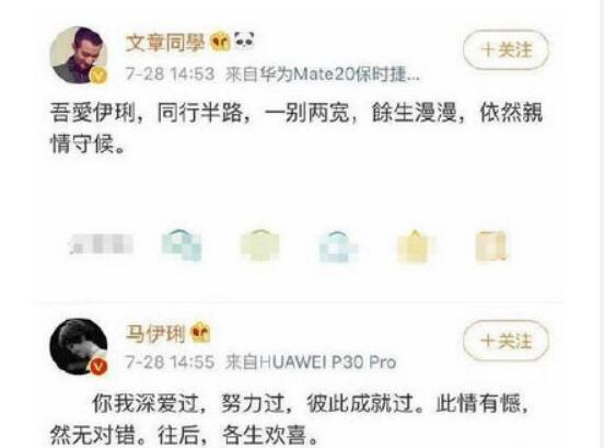 马伊琍文章离婚原因是什么 马伊琍为什么和文章离婚