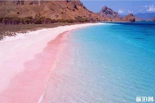 抖音爆火旅游景点（茶卡盐湖、稻城亚丁）