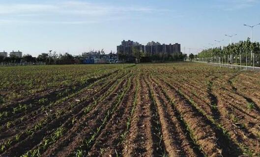 受连日雷阵雨天气影响 安徽大部地区土壤墒情持续过多