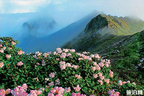 云南苍山有什么好玩的 苍山玩法推荐