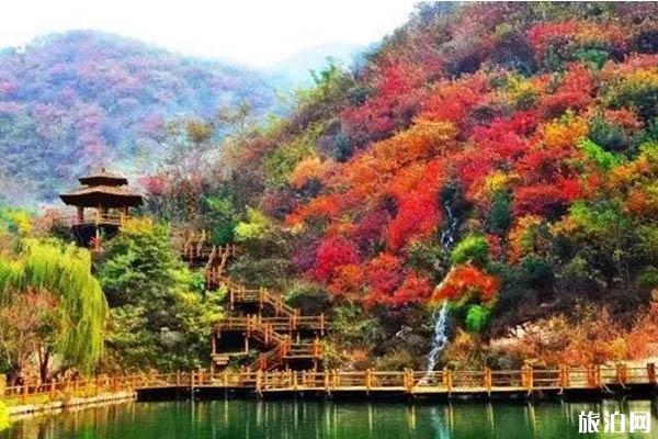 秋天去山东旅游必去的地方推荐