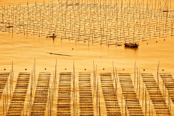 适合春游的地方有哪些 适合春游的国内景点