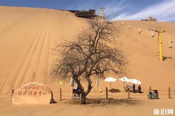 银川三日游最佳方案 银川三日游攻略