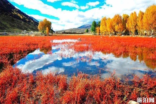 稻城亚丁旅游攻略景点推荐