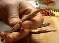 香椿煎泥鳅的做法步骤5