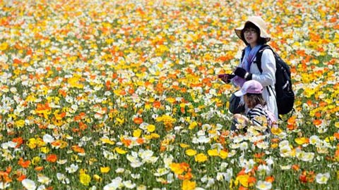 在“雾霾天”下 在三大“健康之都”尽情呼吸吧