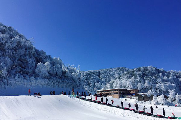 重庆金佛山滑雪场如何 重庆金佛山滑雪场门票