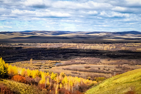 秋天去呼伦贝尔怎么样 秋天的呼伦贝尔好玩吗