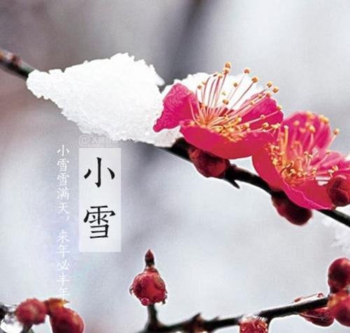 小雪节气话饮食 多吃暖身去火的食物对身体有好处