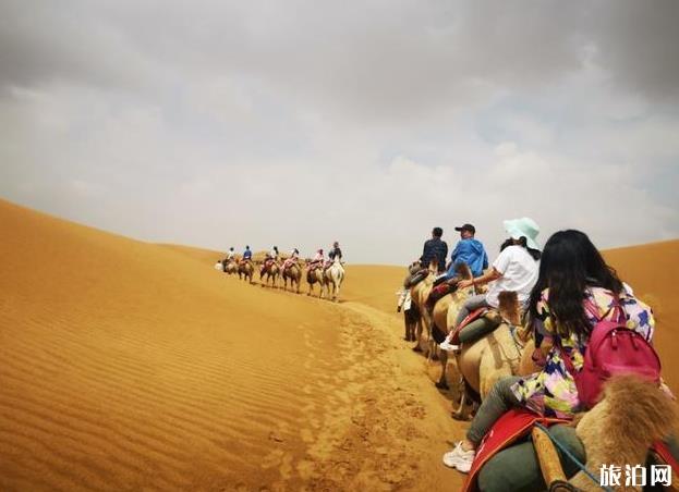 沙坡头攻略2019 沙坡头攻略2019