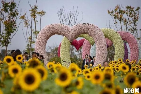 南京向日葵花海哪里有+门票+交通
