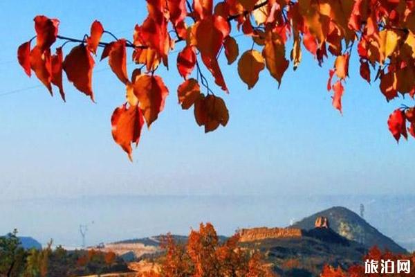 神木旅游景点有哪些 神木旅游景点介绍 神木旅游景点有哪些 神木旅游景点介绍