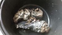 益母草炖乌鸡的做法步骤6