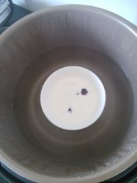 蔓越莓牛奶炖燕窝的做法步骤7