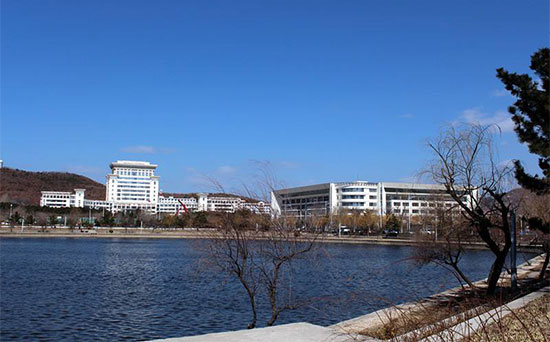 山东大学威海是985吗