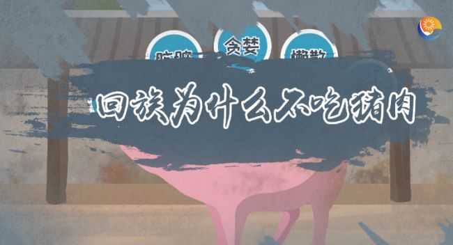 回族为什么不吃猪肉