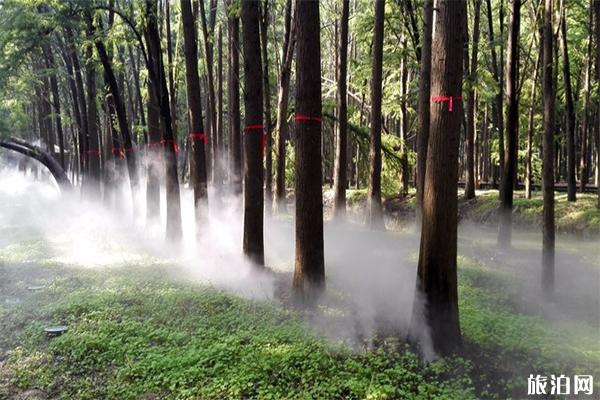 青州周边自驾游去哪里玩比较好 青州周边自驾游去哪里玩比较好