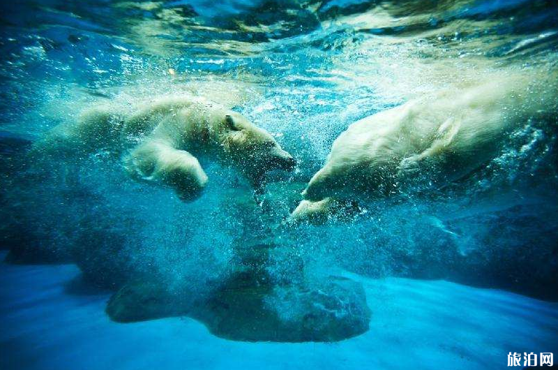 大连最佳旅游季节 大连玩法推荐 大连最佳旅游季节 大连玩法推荐
