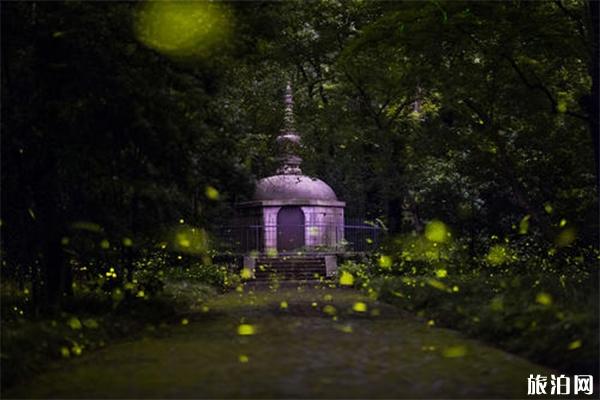 南京钟山风景区的小众风景游玩路线