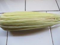 排骨玉米海带汤的做法步骤1