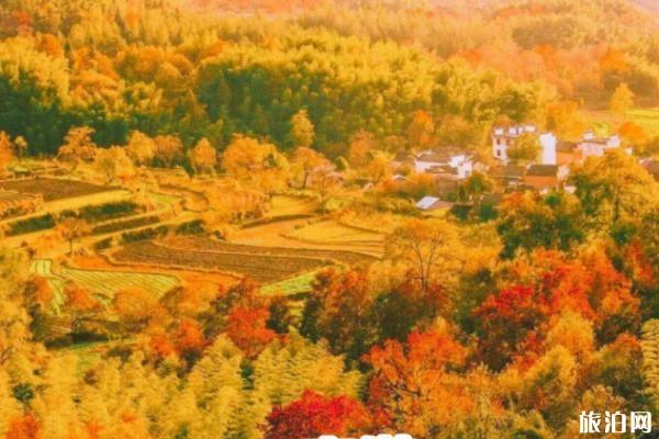 2019国庆节国内自驾游路线推荐