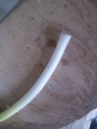 白菜炖酥肉的做法步骤4