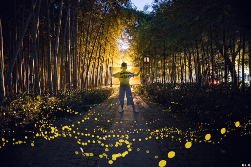 杭州哪里可以看萤火虫