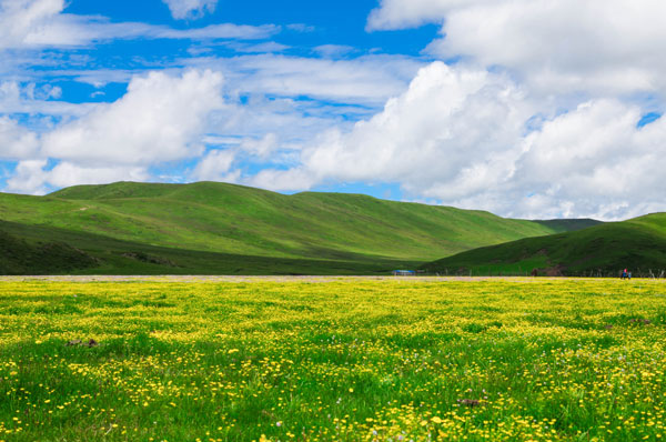 成都到若尔盖怎么走 去若尔盖要准备什么