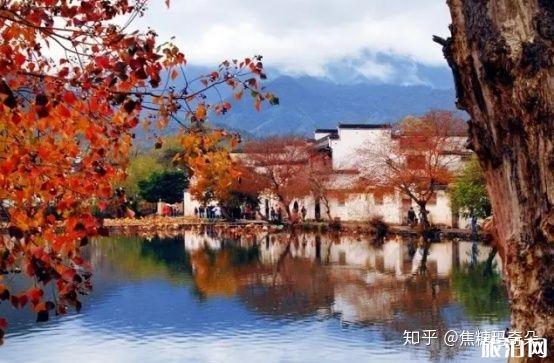 11月份适合去哪里旅游国内