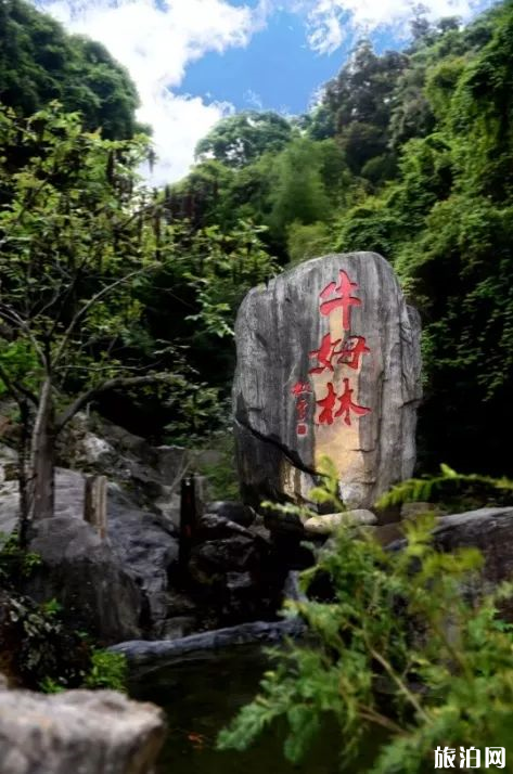 泉州牛姆林有着怎样自然环境