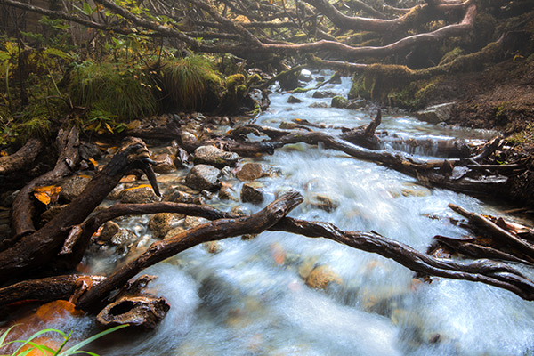 海螺沟要不要门票 海螺沟门票价格