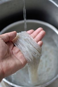 酸辣粉条的做法步骤1