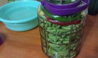 自制泡菜的做法步骤10