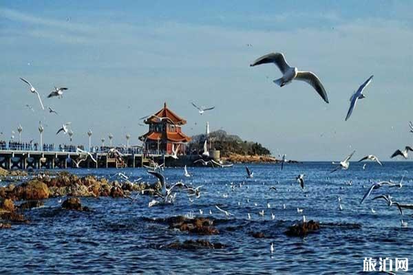 八月份去哪旅游好 八月份国内旅游景点推荐